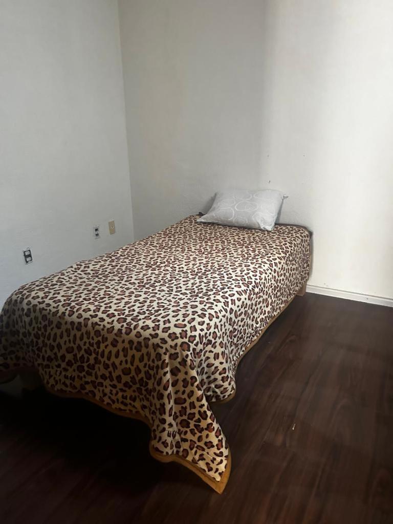 Casa Casada Villa Tlaxcalancingo Eksteriør bilde